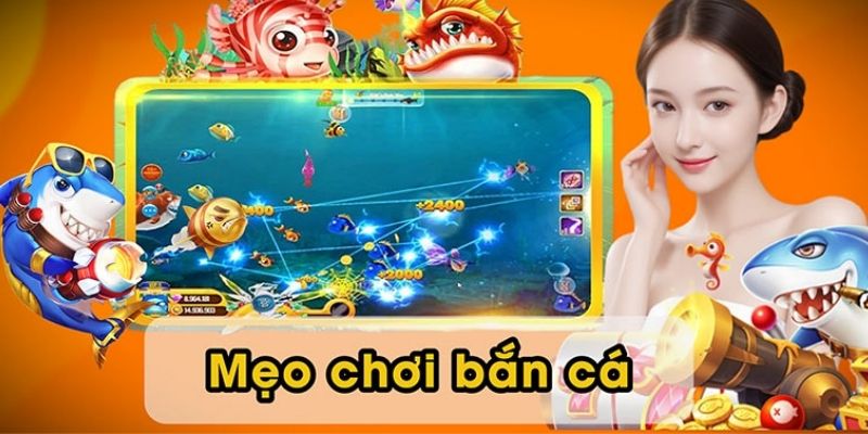 Bí kíp giúp bạn chinh phục bắn cá Sin88 dễ dàng hơn