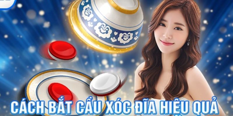 Bật Mí Cách Bắt Cầu Xóc Đĩa Từ Những Cao Thủ Top Đầu