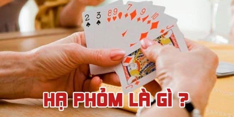 Hạ Phỏm Là Gì ? Lợi Ích Của Việc Hạ Phỏm Khi Chơi Game