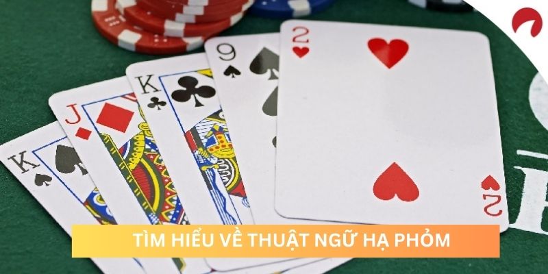 Những điều cần tìm hiểu trước khi biết hạ phỏm là gì